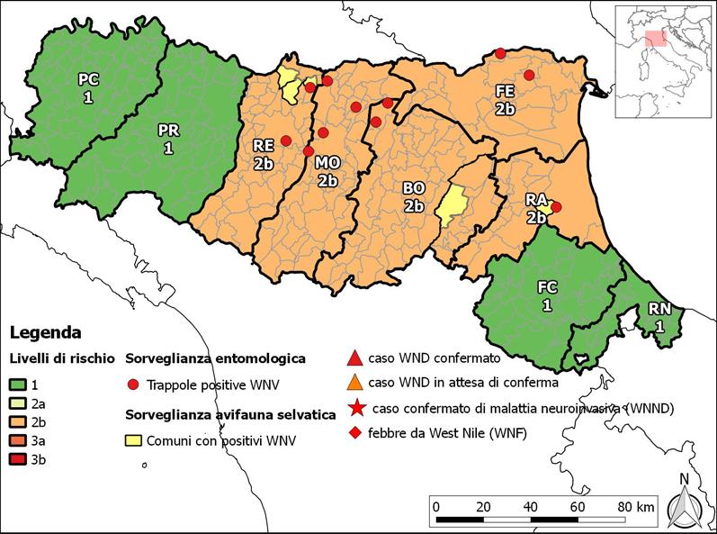 1. Situazione Epidemiologica West Nile virus in Emilia Romagna Le attività di sorveglianza sull avifauna selvatica ed entomologica sono cominciate rispettivamente nel mese di maggio e giugno.