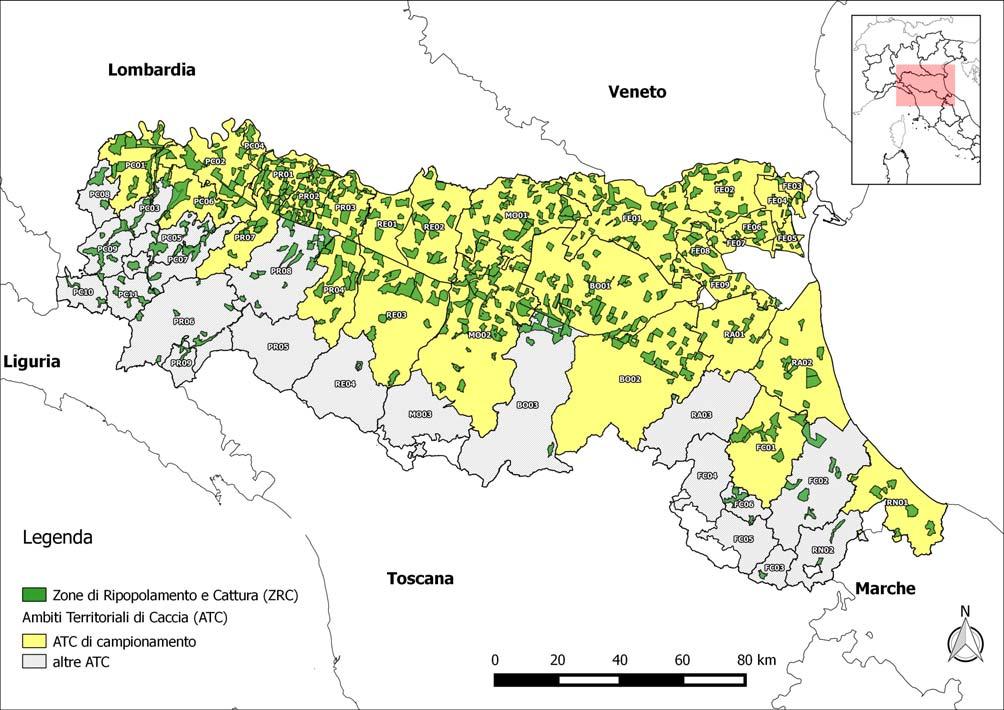 2. Sorveglianza sull avifauna selvatica Nel 2017 le attività di sorveglianza West Nile Disease sono descritte nel Piano regionale di sorveglianza e monitoraggio sanitario della fauna selvatica 2017