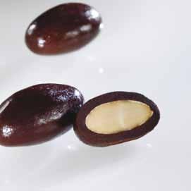 Almond covered with chocolate peso (gr) 1000 Pz per ct 3 C 2510 NOCCIOLA BIANCA Sfuso