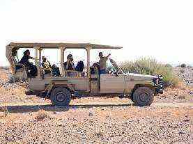 Per le escursioni e i safari, invece vengono utilizzati veicoli 4x4 aperti da safari. 1. Minibus Quantum utilizzato 2.