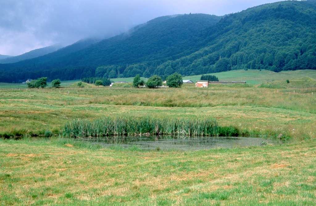 Habitat Natura 2000 Sup.