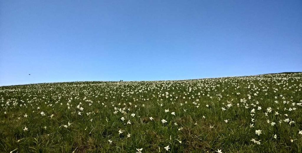 Parchi Biodiversità