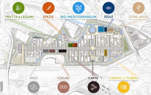 I Cluster sono una delle novità di Expo Milano 2015: per la prima volta i Paesi non vengono raggruppati in padiglioni collettivi secondo criteri geografici, ma secondo identità tematiche e filiere