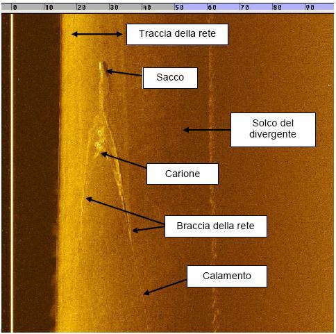 - le reti americane sono reti a 4 pannelli (superiore, inferiore, e due piccoli pannelli laterali) mentre le reti tradizionali sono a due facce (superiore ed inferiore); - le reti americane sono