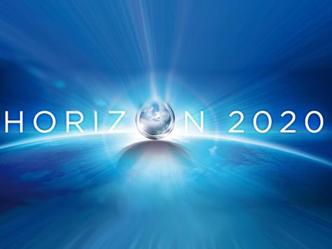 Horizon 2020 per le PMI Tutte le forme di R&D + innovazione (exploitation & commercialisation) SME participazione in progetti di R&D collaborativi o di innovazione SME instrument (budget da tutte le
