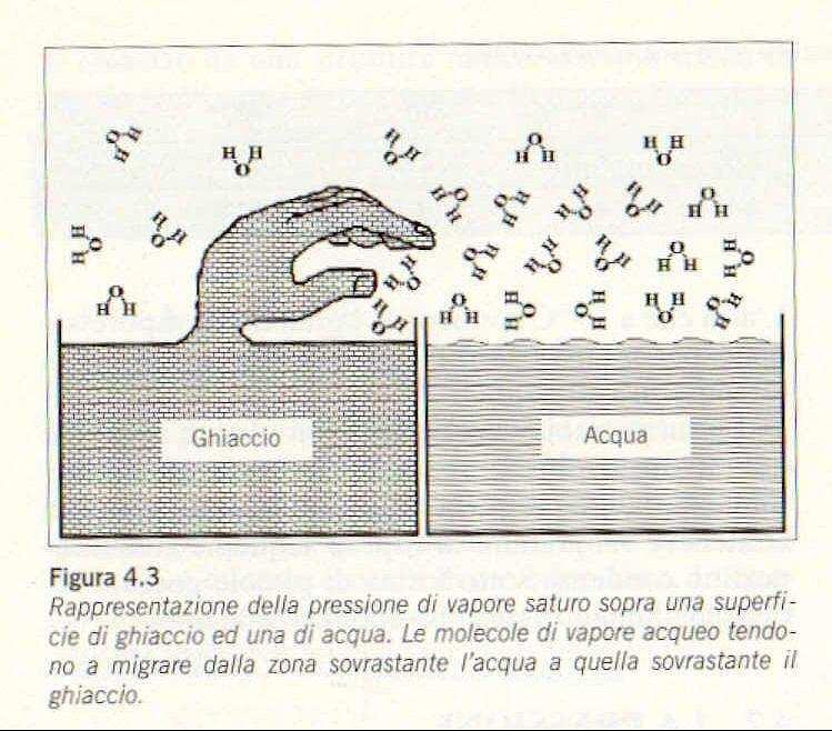 La tensione di vapore saturo Dipende da: Tipo di superficie di