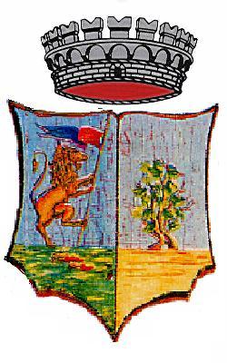 CITTÀ DI BAGHERIA Provincia di Palermo COPIA DELIBERAZIONE DEL CONSIGLIO COMUNALE N.