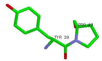 Interactions with side chains in α-helices Introduction to Molecular Biophysics Proline residue is not compatible with the alpha helix conformation Since there is no backbone NH group for hydrogen