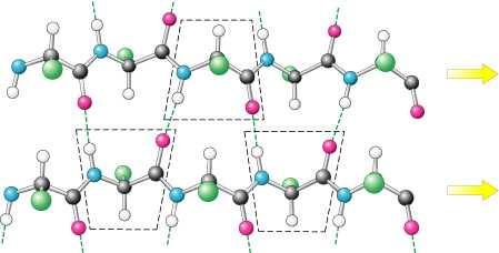 β-parallelo ogni residuo