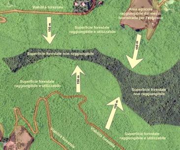 CONSISTENZA DELLE RISORSE FORESTALI (LEGNOSE) IN REGIONE volume dei fusti e dei rami grossi dei boschi regionali INFC 2005 = 72.338.