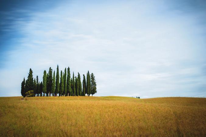 Workshop Val d Orcia Un gioiello tutto da scoprire e da fotografare in provincia di Siena, nel cuore della Toscana, e dal 2004 anche patrimonio mondiale dell UNESCO Il Workshop in breve Passeremo