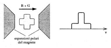 Ricostruzione immagine Campione di liquido, a forma di croce, in campo magnetico B costante Aggiungendo un