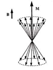 Descrizione RMN In presenza di B esterno il numero medio di nuclei in direzione di B è poco maggiore di quelli diretti in senso opposto Si crea una così