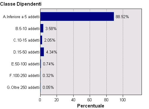 Analisi classe dipendenti L 89% delle imprese ha un numero di dipendenti inferiore a 5. Il 4% presenta un numero di addetti compreso tra 5 e 10.