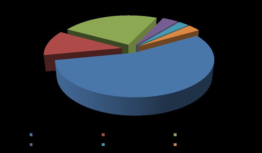 Il campione Distribuzione del campione delle società di capitale vercellesi per