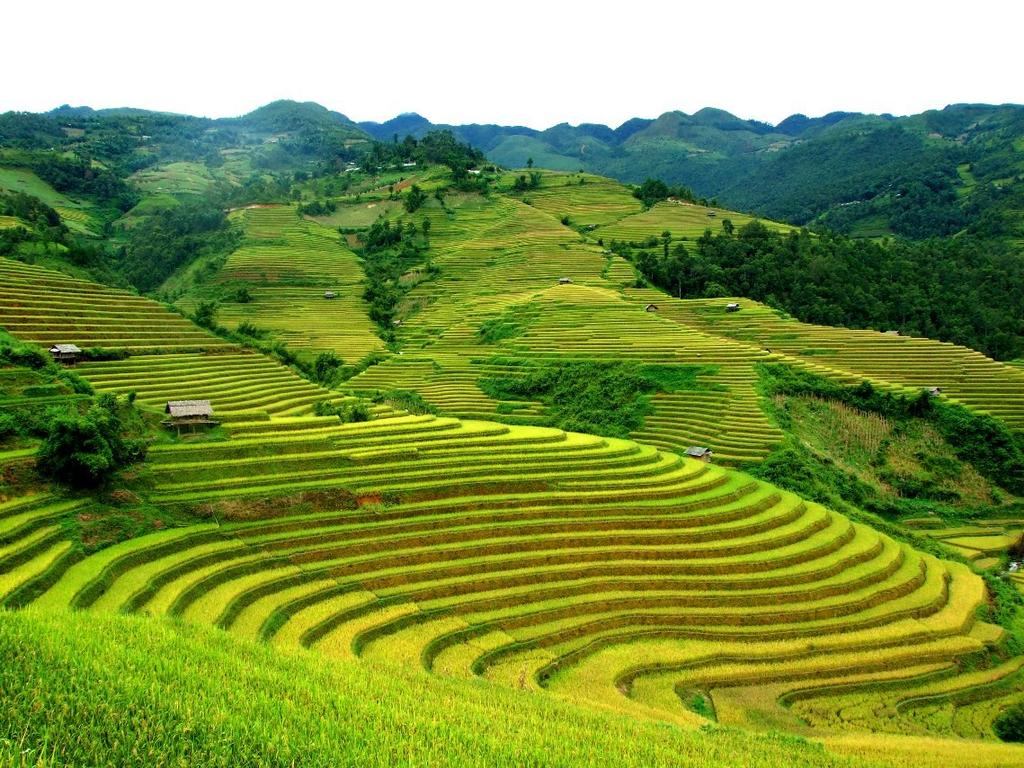 Itinerario dettagliato: 10 GIORNO: ARRIVO AD HA NOI Arrivo ad Hanoi, accoglienza da parte della nostra guida e trasferimento in città. Sistemazione in albergo e tempo per rilassarsi.