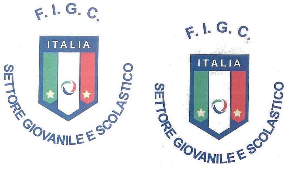 Federazione Italiana Giuoco Calcio Settore Giovanile e Scolastico COMITATO REGIONALE PIEMONTE VALLE D AOSTA 10122 TORINO Via A. Volta, 9 C.P. 1402 TORINO Tel. 011 5622346 Fax 011 531953 Internet: www.