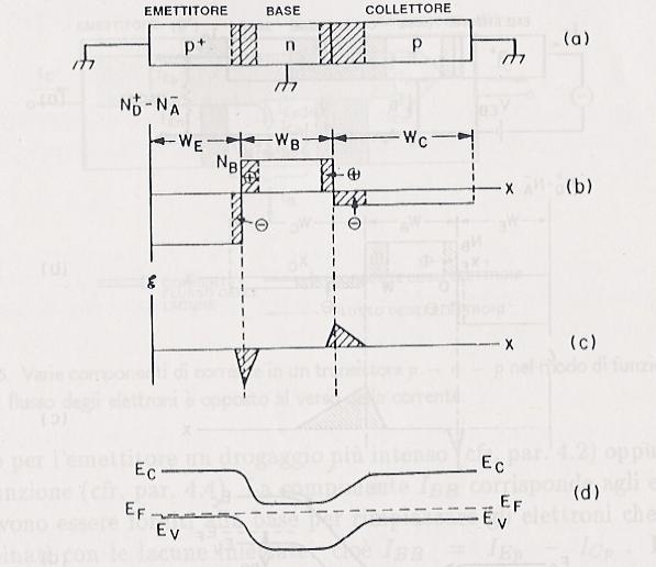 Transistor p-n-p non polarizzato Schema