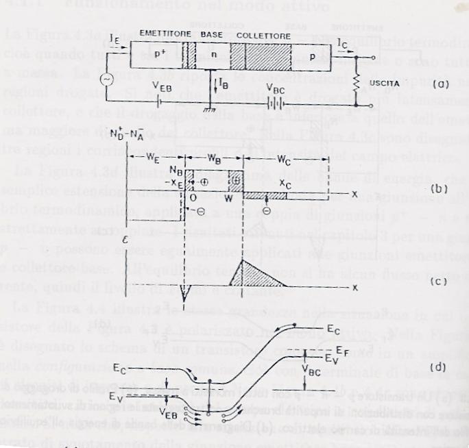 Transistor p-n-p in regione attiva Schema