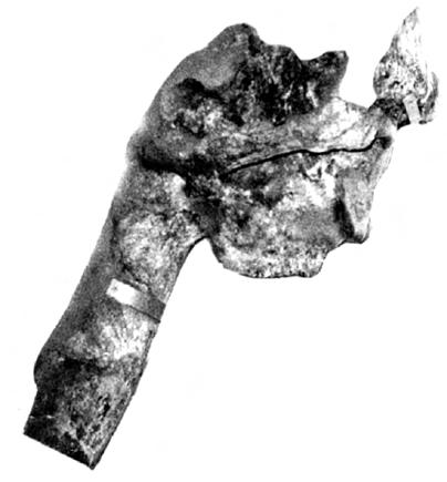 Cenni sui vertebrati fossili di Roma 131 Fig. 33 - Mammuthus "chosaricus", cranio incompleto, norma laterale sinistra, Via Flaminia km 7.2 (Roma), Aureliano inferiore.