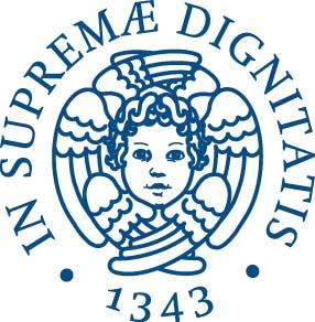 UNIVERSITA DEGLISTUDIDIPISA FACOLTA DIMEDICINAECHIRURGIA CORSODILAUREAININFERMIERISTICA