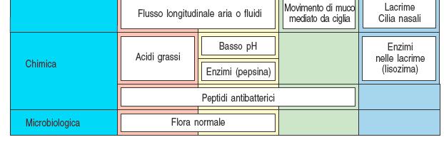 Barriere meccaniche, chimiche e