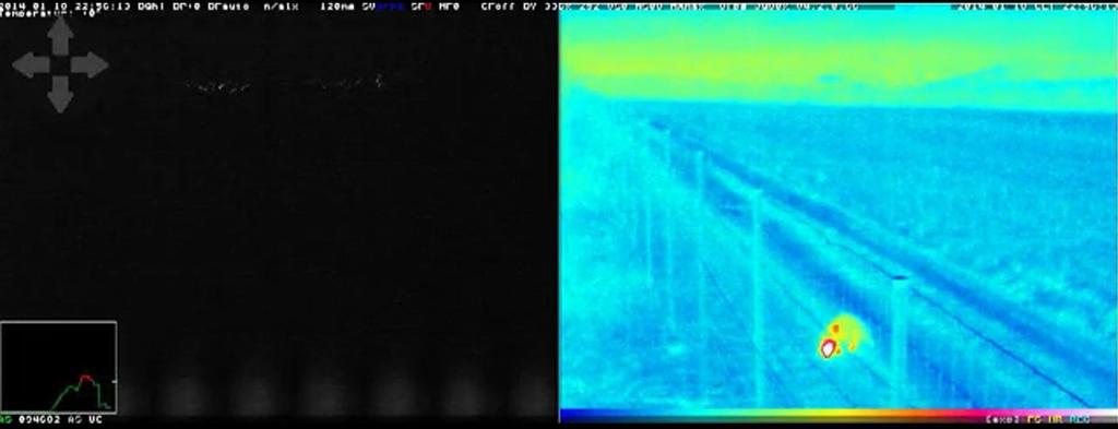 Particolarità del Sensore Analisi Video l ottica NIGHT a SX, non