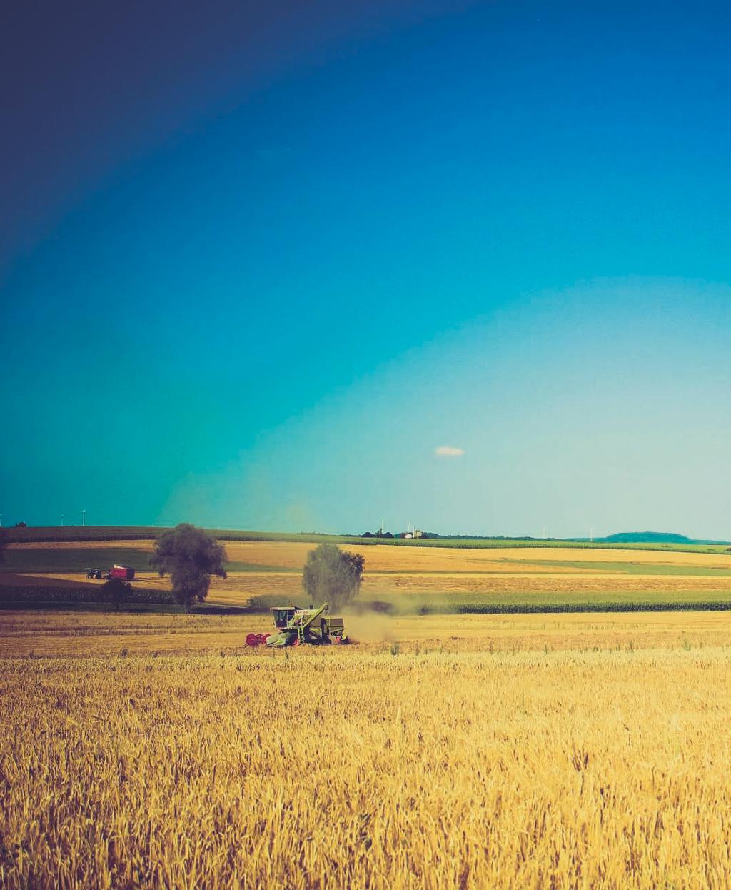 AGROALIMENTARE SICUREZZA SOSTENIBILITÀ QUALITÀ Con un fatturato che nel 2015 ha raggiunto i 135 milioni di euro, l agroalimentare è uno dei settori di traino dell economia del Paese.