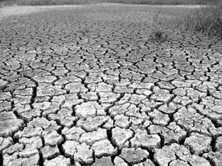 Nella zona umida la presenza dell acqua in alcuni casi non è costante.