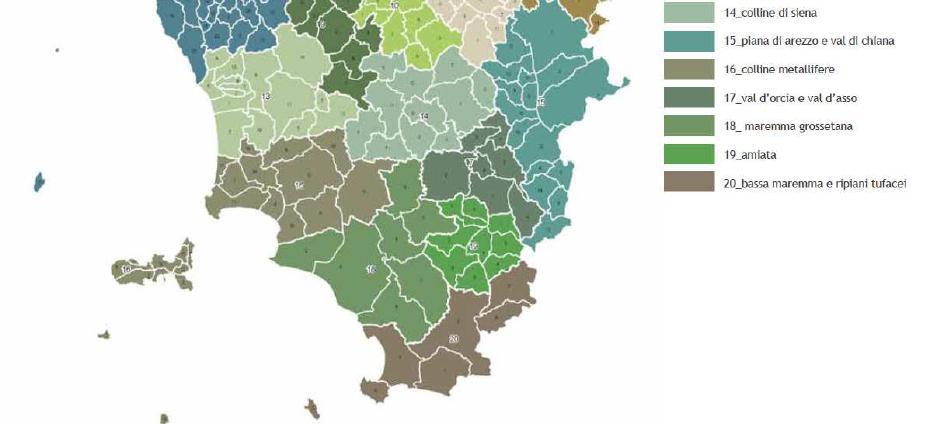 riconosce gli aspetti, i caratteri peculiari e le caratteristiche paesaggistiche del territorio regionale derivanti dalla natura, dalla storia e dalle loro