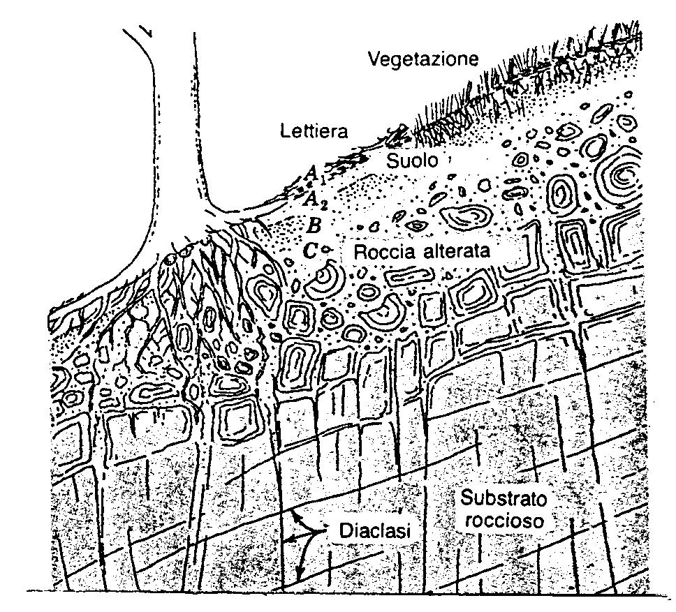 2 Erosione del suolo 2 EROSIONE DEL SUOLO In questo capitolo si concentrerà l attenzione sulle forme di erosione del suolo dovute all acqua meteorica (dilavamento), anche se da un punto di vista