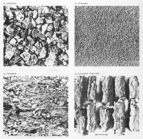 2 Erosione del suolo Fig.2.2 - Le forme degli aggregati del suolo. Fig.2.3 Quattro delle principali strutture del suolo.