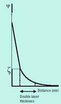 Quando viene introdotto il tampone-elettrolita, tipicamente avente ph > 2, i gruppi silanolici si deprotonano e la loro carica negativa viene bilanciata da