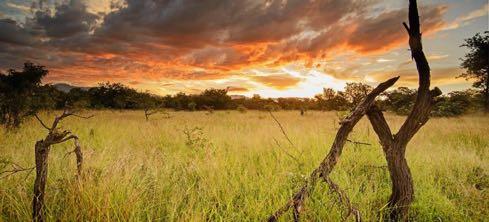 Karongwe Game Reserve Karongwe Game Reserve, Kruger Area, LP [ZA] Giudizio Quality POSIZIONE La Karongwe Private Game Reserve si estende per circa 8.