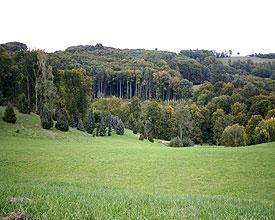 Vicino al polo nord e al polo sud la temperatura non supera mai lo zero: in quelle zone gli uomini non possono vivere perché fa troppo freddo.