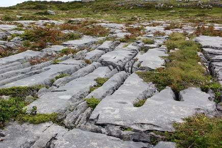 all arredamento. Continuazione attraverso la contea Clare e sosta alle maestose ed imponenti Scogliere di Moher, alte 200 metri e lunghe 8 Km: sono uno spettacolo che lascia senza fiato.