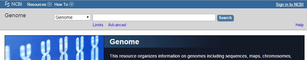 NCBI Genome