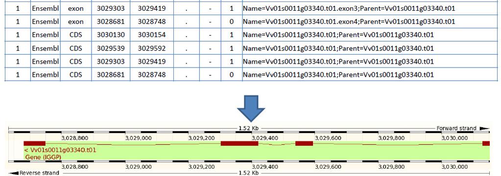 html http://www.sequenceontology.org/gff3.