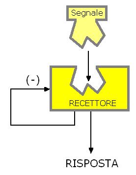 L attivazione di un recettore attiva, spesso, un meccanismo a cascata che porta ad una amplificazione del segnale. Amplificazione v. 1.