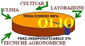 0,8% dal 1/11/03); gusto perfetto, privo di difetti; olio d'oliva vergine (sopraffino): il grado di acidità di questo olio è inferiore al 1,5% e come l'extra vergine non è raffinato; olio d'oliva