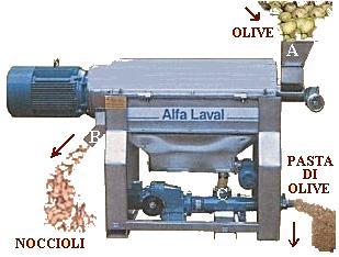 3) scadenti possibilità di pulizia del macchinario e degli ambienti, con pericolo di inquinamento e ossidazione dei residui di pasta rimasti sui fiscoli tra una partita di olive e l altra (odori e