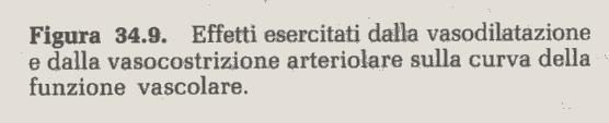 L ATTIVAZIONE DEL SISTEMA ORTOSIMAPTICO AUMENTA LE RESISTENZE PERIFERICHE L AUMENTO DELLA PRESSIONE AORTICA (RIFLESSO BAROCETTIVO) INIBISCE IL TONO ORTOSIMPATICO E CAUSA VASODILATAZIONE VARIAZIONI