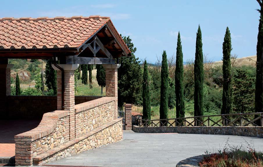 inaspettato dalle colline fiorentine morbide, trapuntate di vigne rigogliose e ulivi, icona di un paesaggio