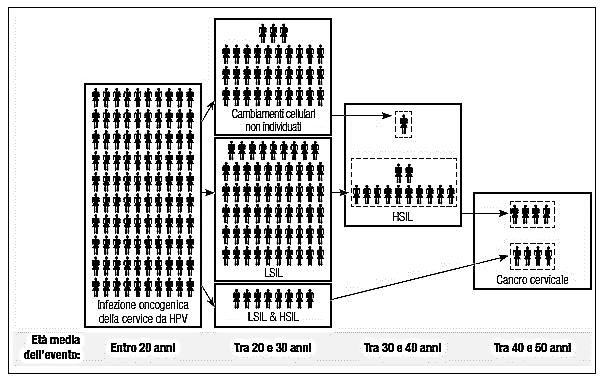 quelle con HSIL è circa 28 anni, il che mostra la tendenzialmente lenta evoluzione della malattia, che può variare dai 5 ai 20 anni.
