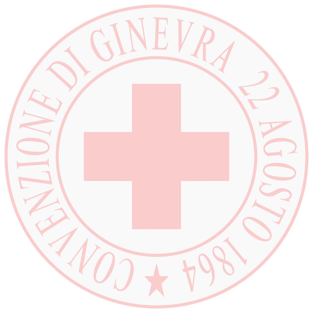Croce Rossa Italiana Comitato Nazionale RELAZIONE DI