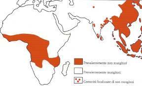 sec) Prime testimonianze di domesticazione: Asia: Gerico - 10 000-8 000 14 C BP Mesopotamia - IV
