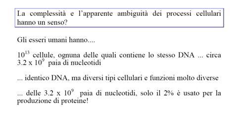 La cellula cresce durante tutta l interfase, che include G 1, S e G 2.