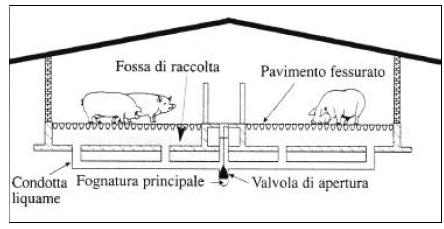 Sistema di riferimento PTF con sistema a vacuum RIDUZIONE 25% Sistemi di stabulazione