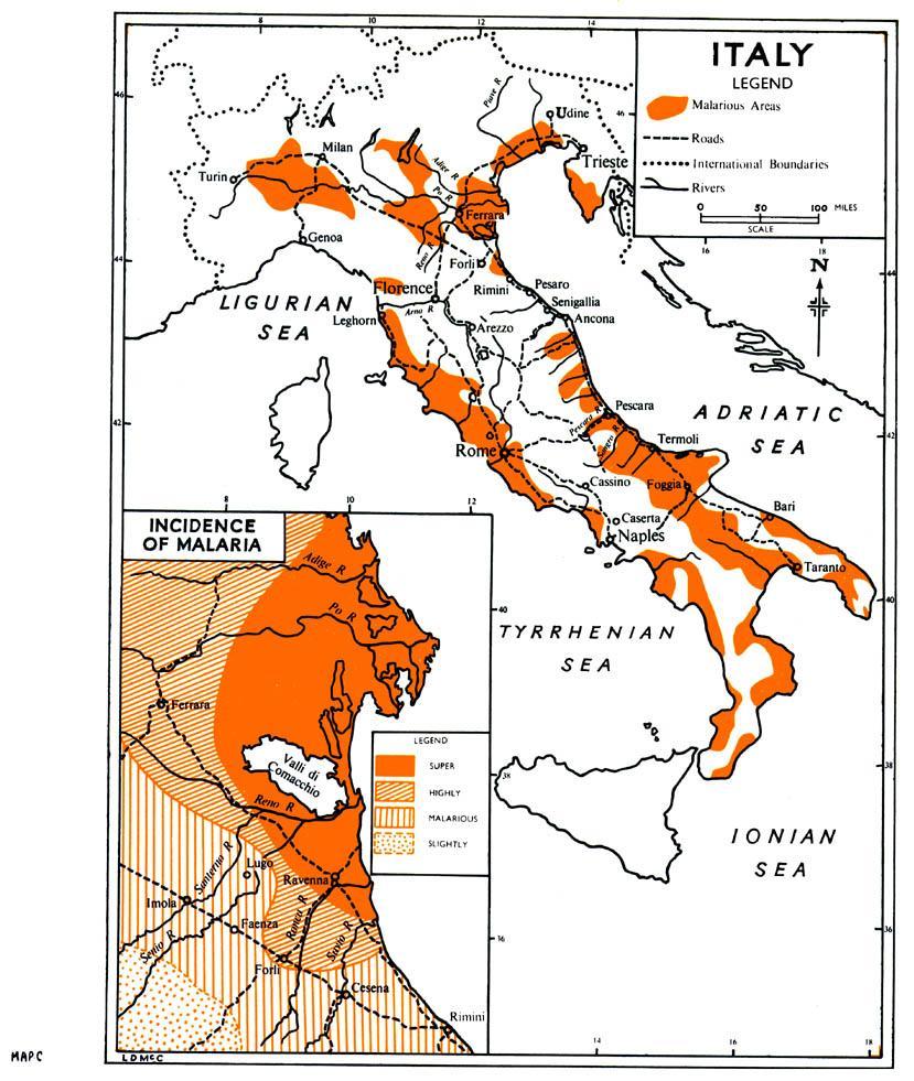 Alfa- e beta- TALASSEMIA 0-2% Aree a bassa incidenza (centro nord) 2-5% Aree a media incidenza (Lazio e Nord immigrazione) 5-8% Aree a alta incidenza (Calabria,