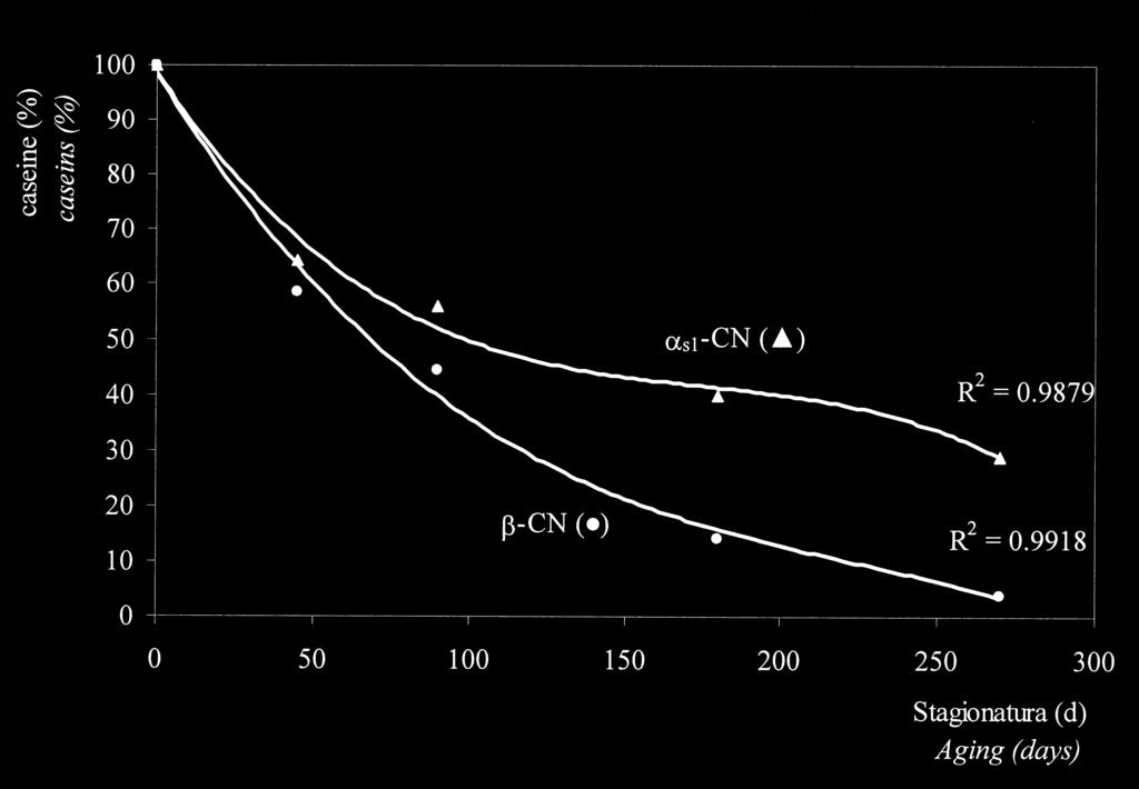 Figura 4 - Evoluzione nella composizione delle frazioni caseinica e peptidica del Ragusano dopo 9 mesi di stagionatura.